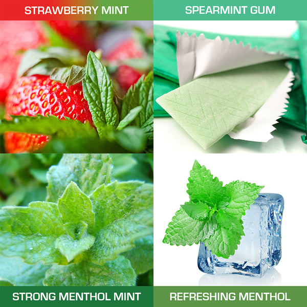 Menthols and Mints E-Liquid Trial Pack