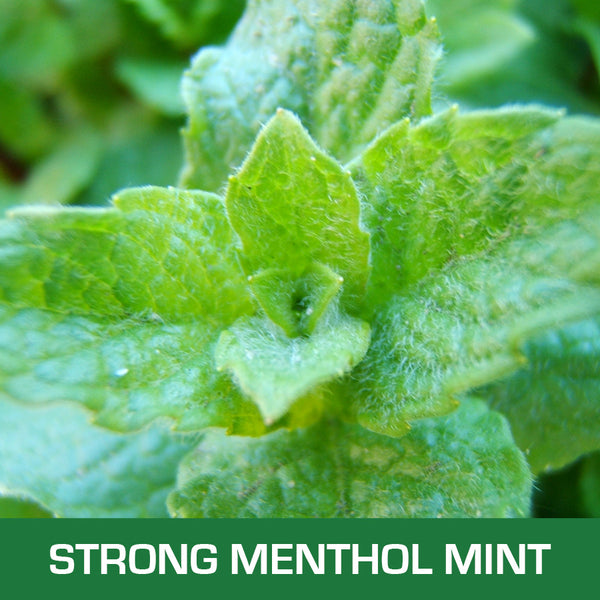 Strong Menthol Mint E-Liquid